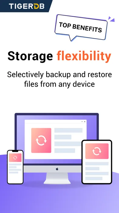 Tiger Data Backup سکرین شاٹس