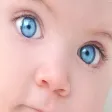 Predictor of Baby Eye Color Predictor of Baby Eye Color