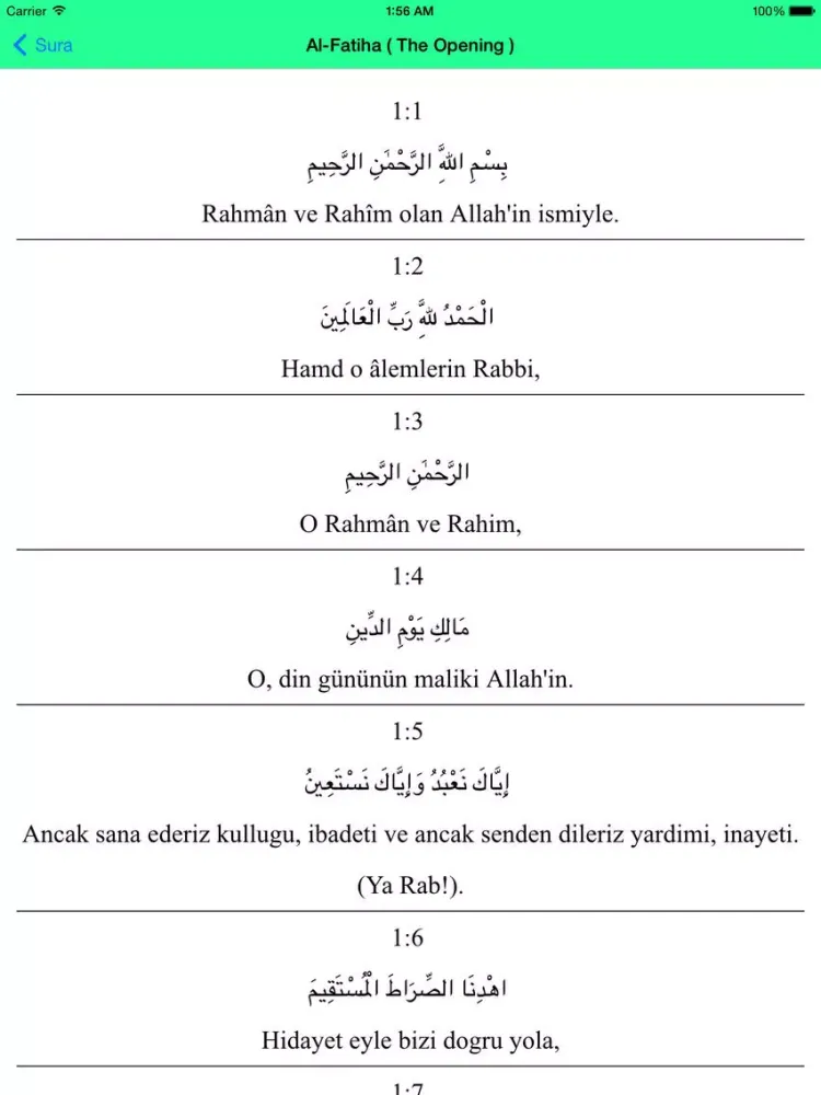 Al Quran - Turkish iPad  Screenshots