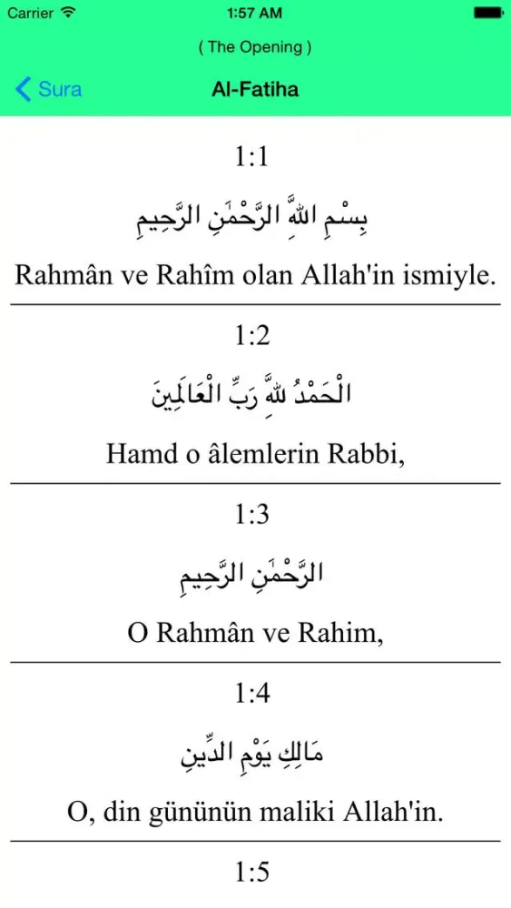 Al Quran - Turkish Screenshots
