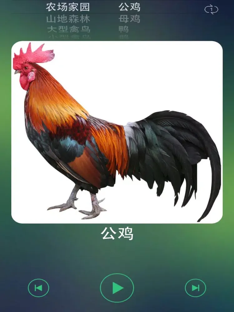 تصاویر 动物叫声声音大全 iPad 