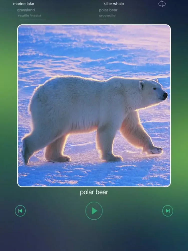 Скриншоты Animal Voices For Kids iPad 