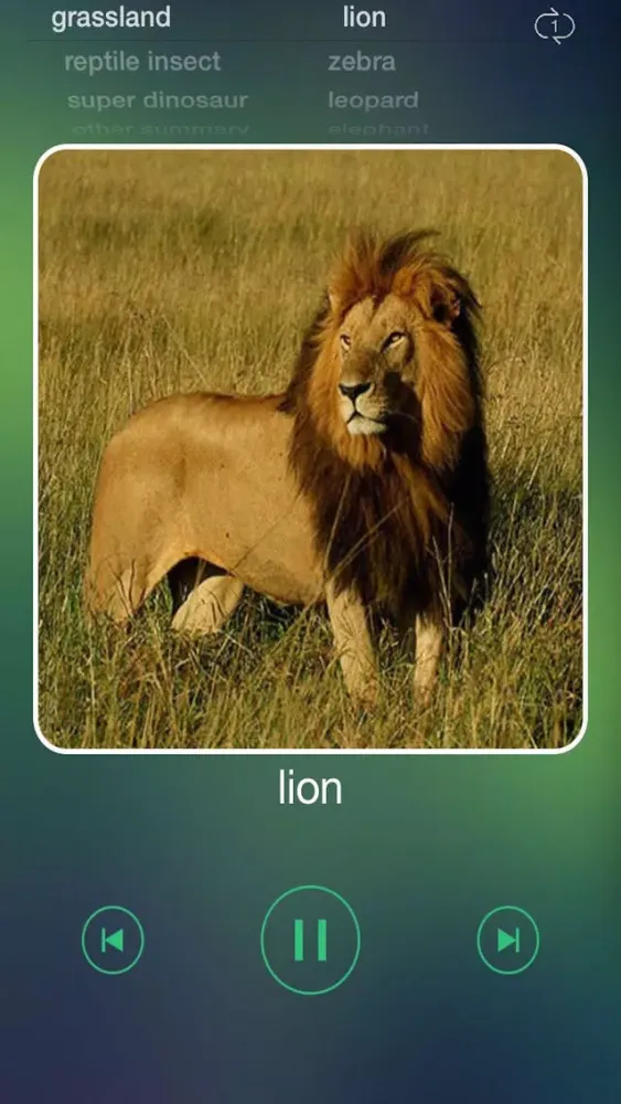Скриншоты Animal Voices For Kids