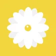 Daisy - Create & Break Habits