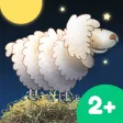 Nighty Night! Nighty Night!