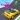 Shape Race