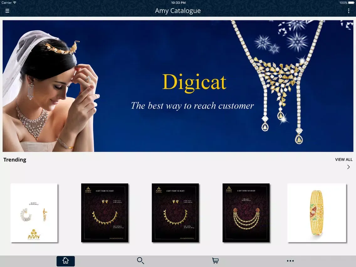 Zrzuty ekranu Amy Catalogue iPad 