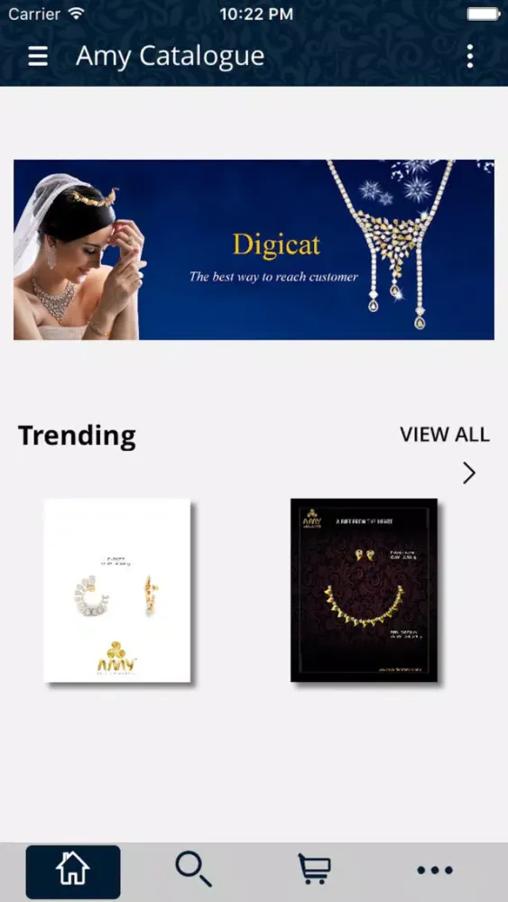 Zrzuty ekranu Amy Catalogue
