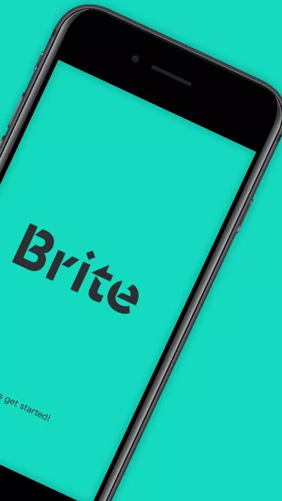 Brite Micro Electric Mobility应用截图