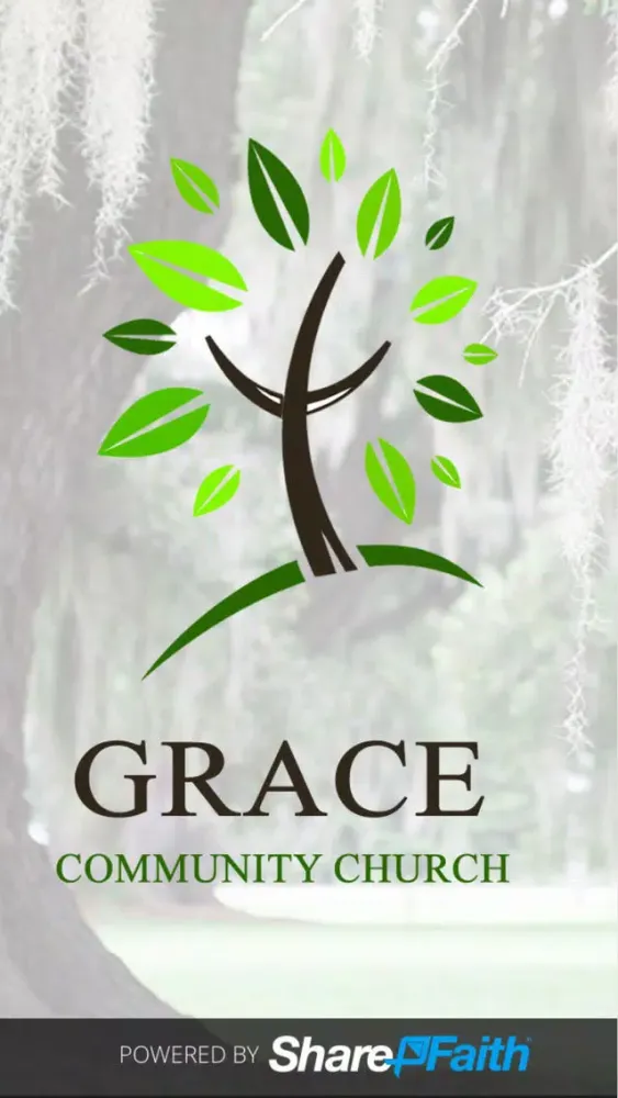Find Grace Now Screenshots