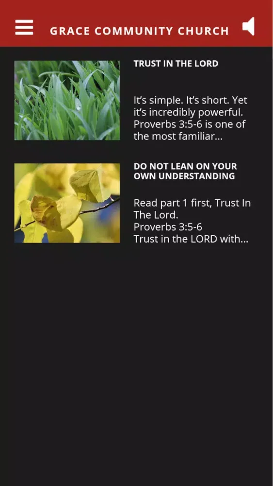 Find Grace Now Screenshots