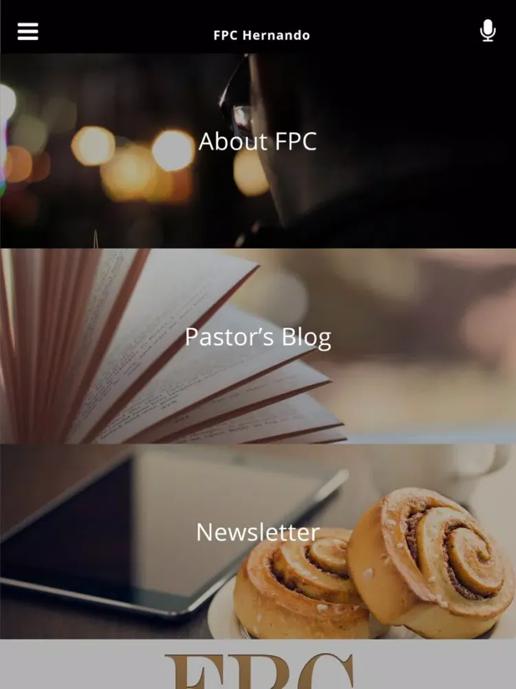 Скриншоты FPC Hernando iPad 