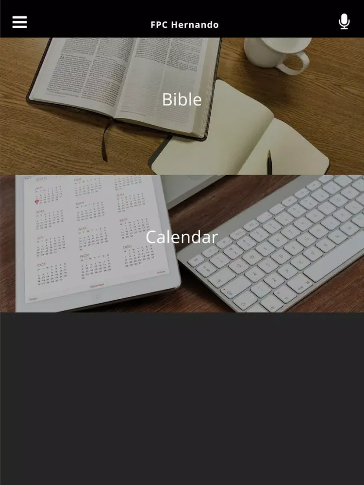 Скриншоты FPC Hernando iPad 