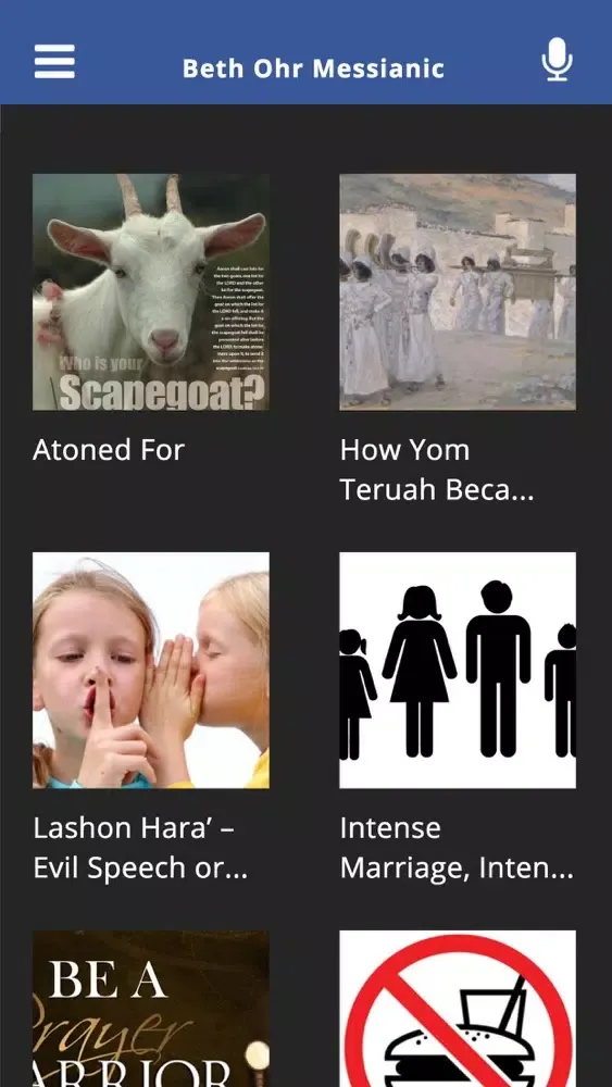 Beth Ohr Messianic Screenshots