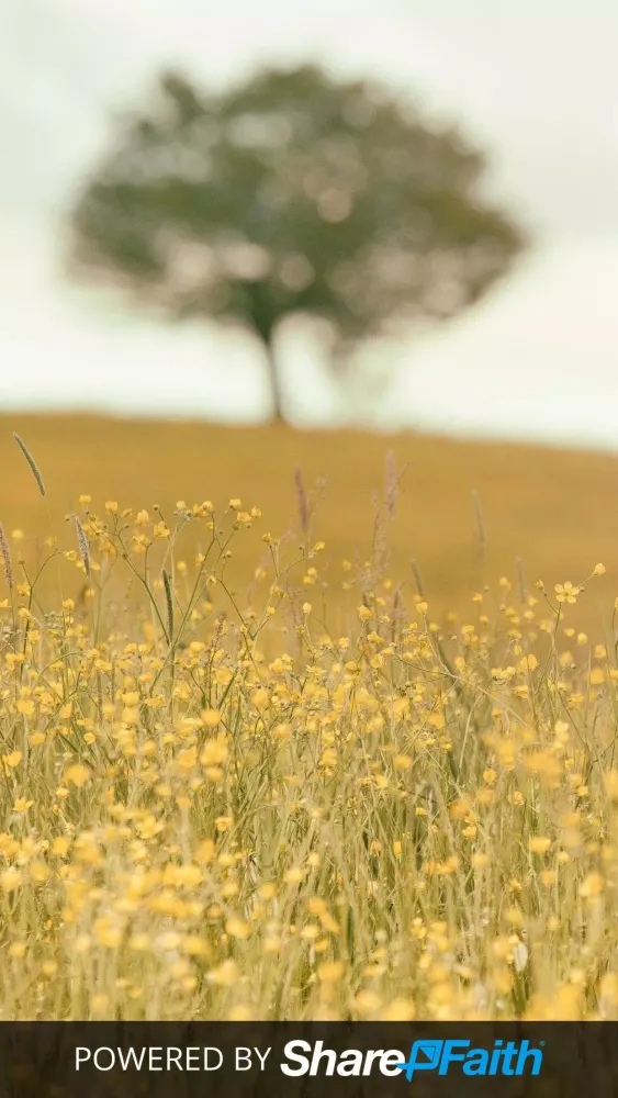Called to Freedom Fellowship Screenshots