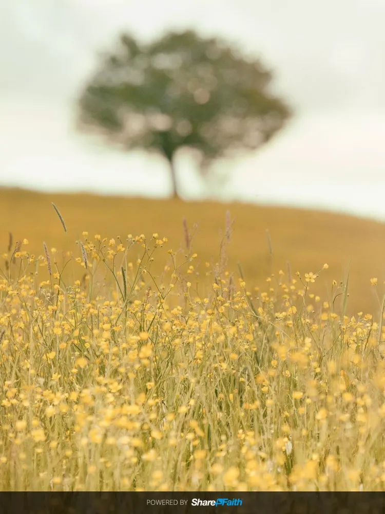Called to Freedom Fellowship Screenshots