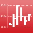 Shares Investment