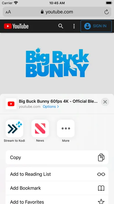 Stream to Kodi स्क्रीनशॉट