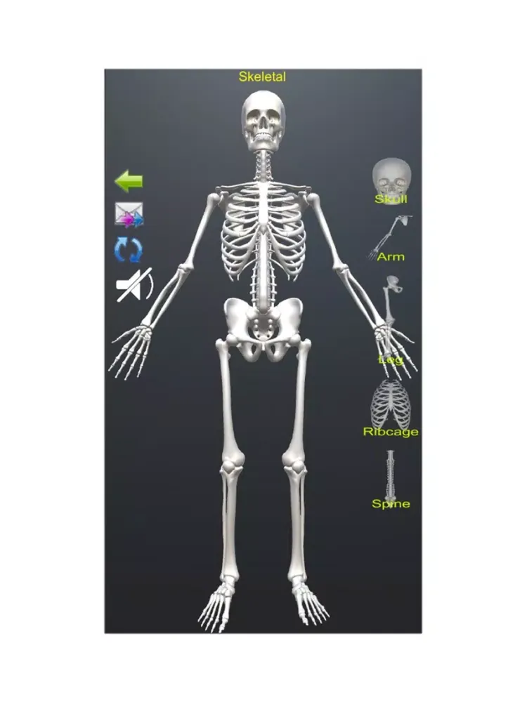 صور Human Anatomy Encyclopedia 3D iPad 