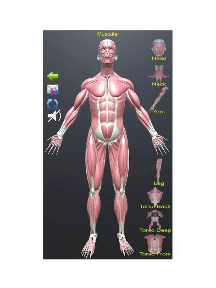 صور Human Anatomy Encyclopedia 3D iPad 