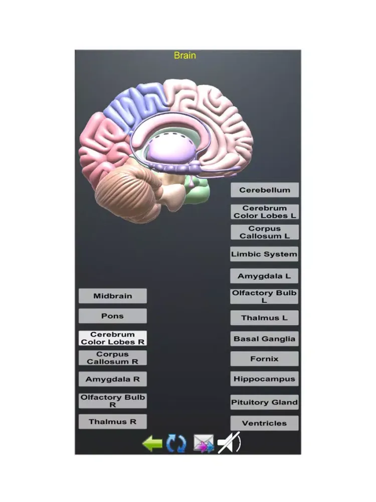 صور Human Anatomy Encyclopedia 3D iPad 