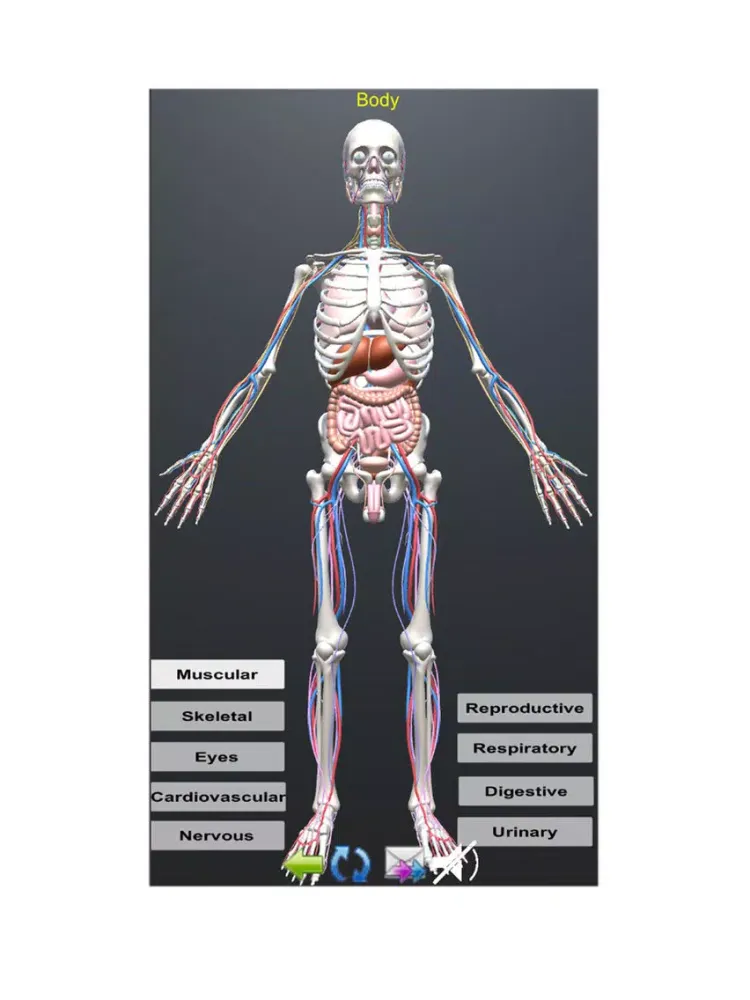 صور Human Anatomy Encyclopedia 3D iPad 