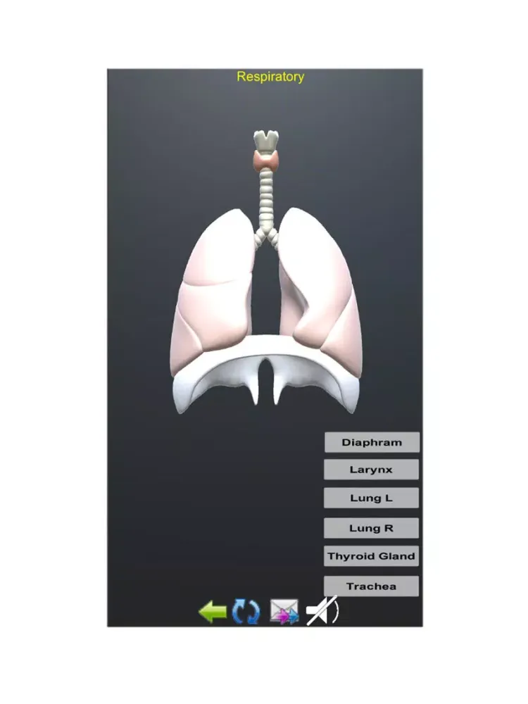 صور Human Anatomy Encyclopedia 3D iPad 