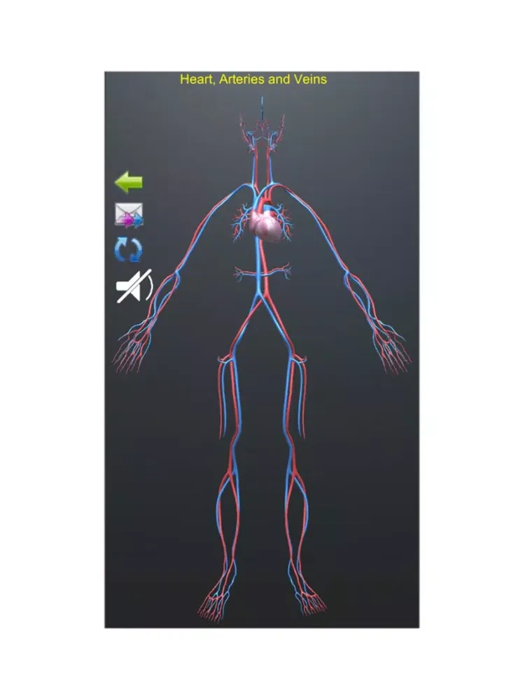 صور Human Anatomy Encyclopedia 3D iPad 