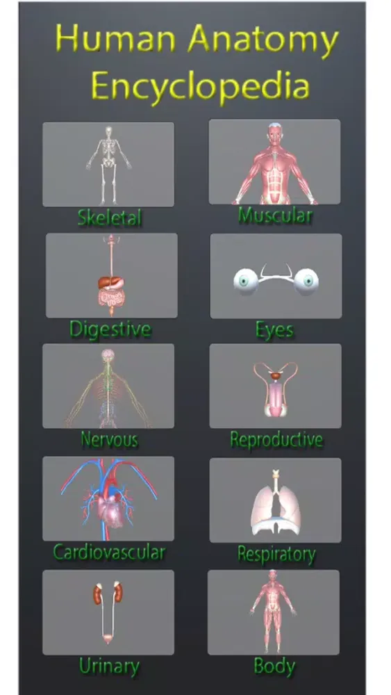 صور Human Anatomy Encyclopedia 3D