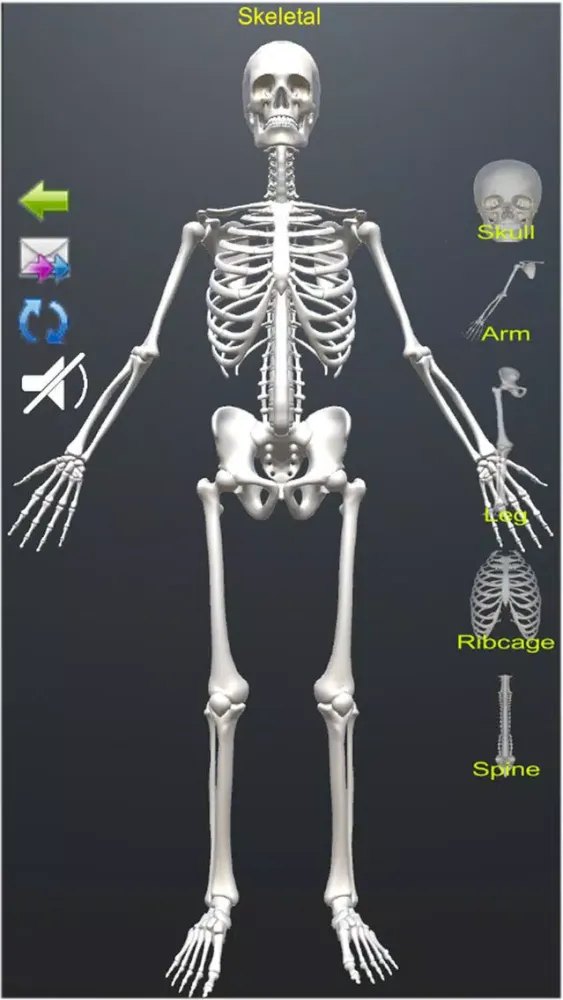 صور Human Anatomy Encyclopedia 3D