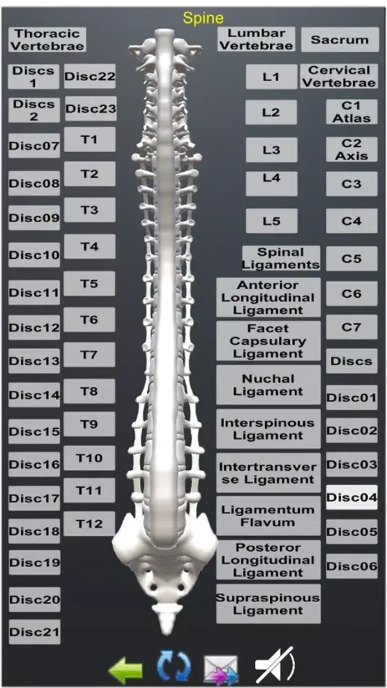 صور Human Anatomy Encyclopedia 3D