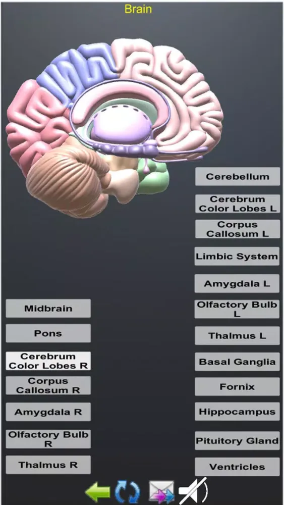 صور Human Anatomy Encyclopedia 3D