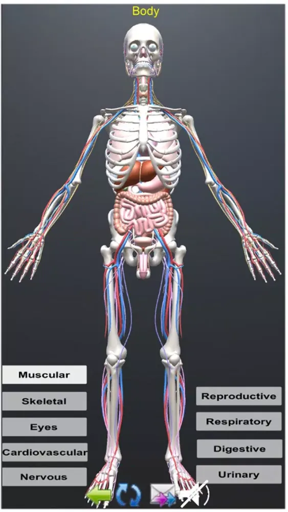 صور Human Anatomy Encyclopedia 3D