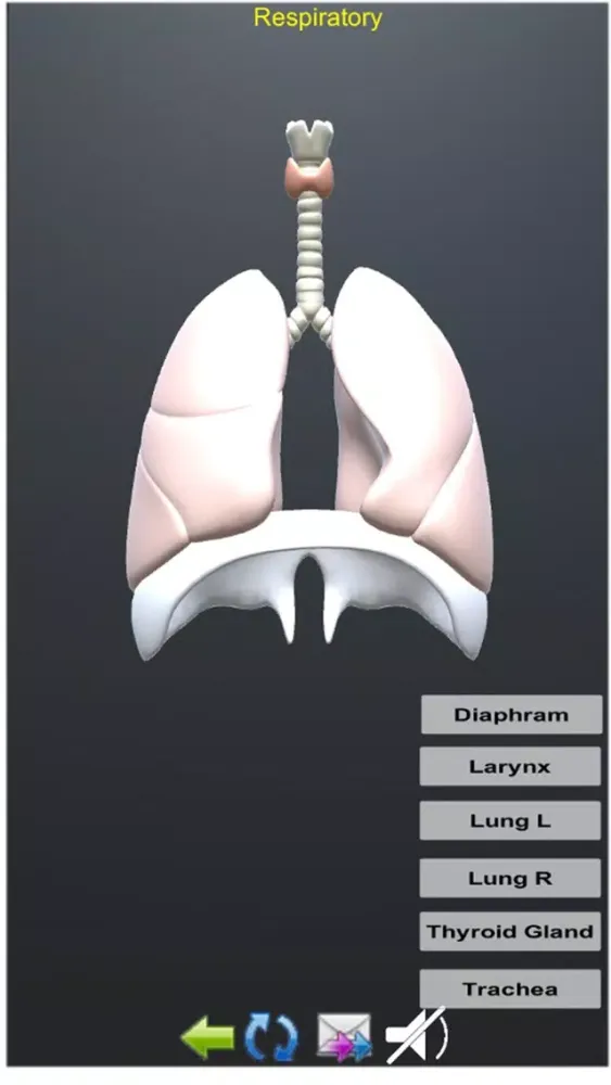صور Human Anatomy Encyclopedia 3D