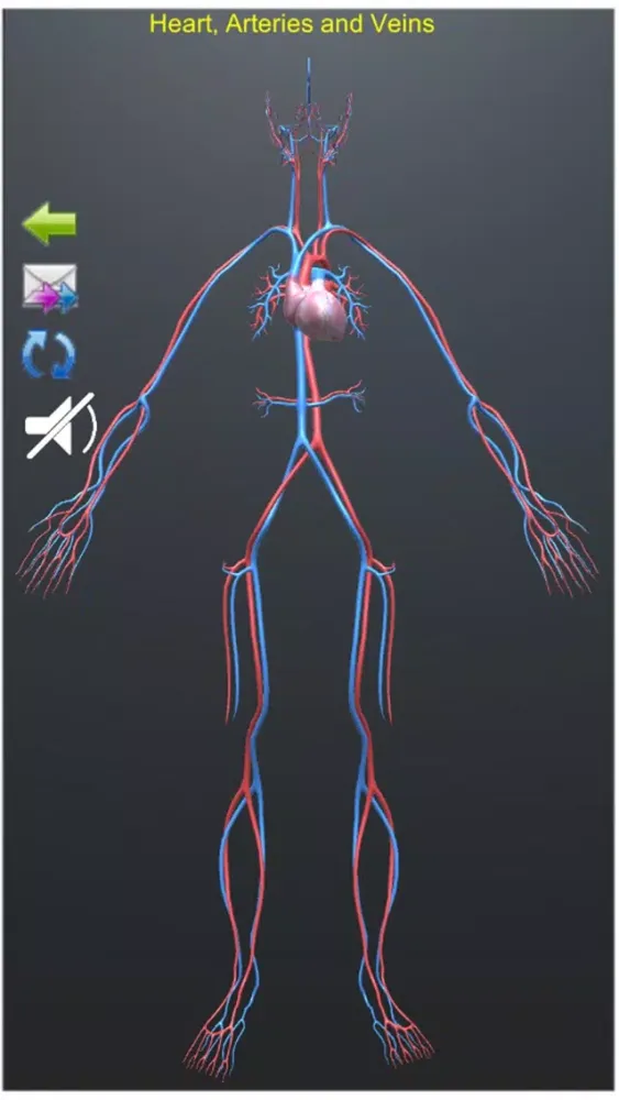 صور Human Anatomy Encyclopedia 3D