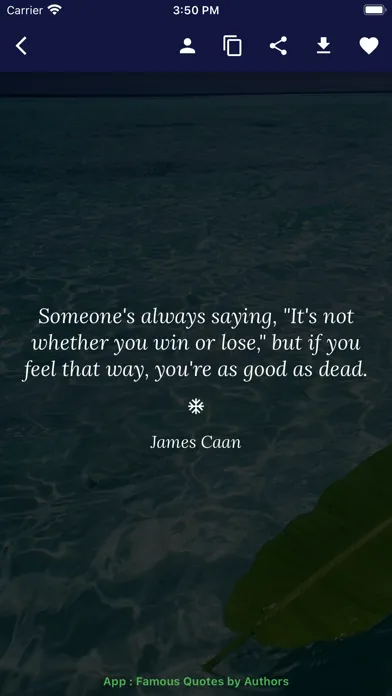 Daily Quotes - Inspirations應用截圖