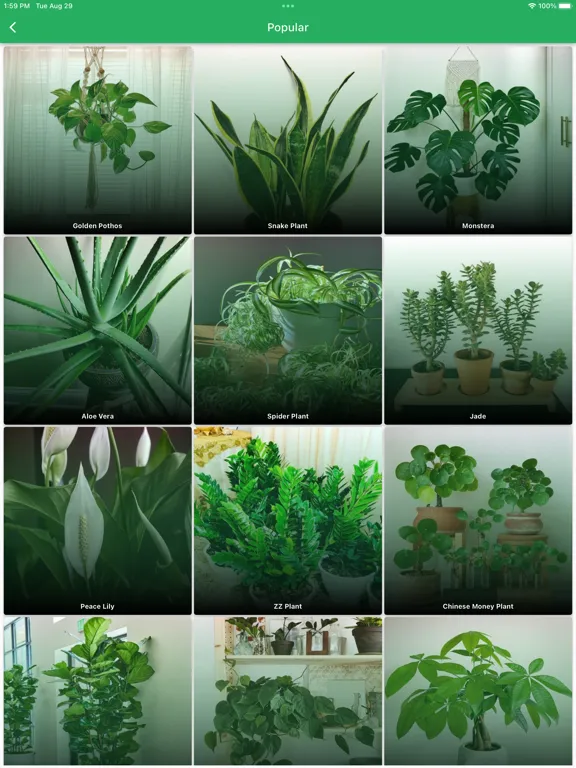 PlantMate - Plant Care Guide iPad  स्क्रीनशॉट