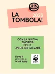 La Tombola!
