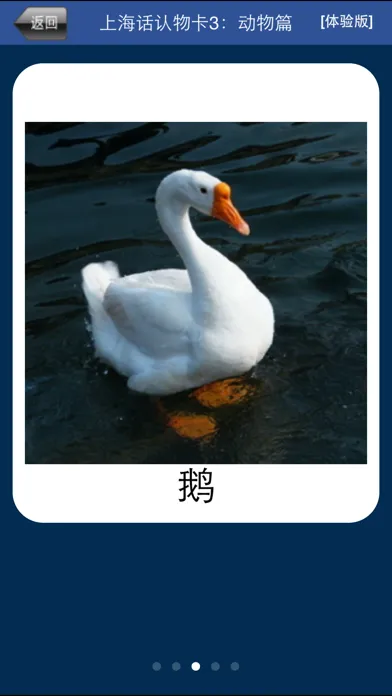 上海话认物卡3：动物篇-冬泉沪语系列 Screenshots