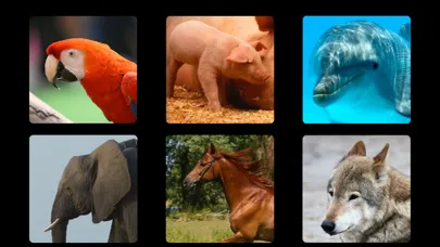 Let's Hear the Animals! HD 스크린샷