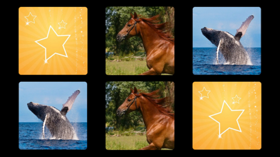 Скриншоты Let's Hear the Animals! HD