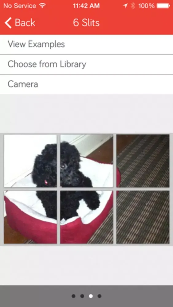 PicSlit – Giant Photo Grid / Banner / Square for Instagram Screenshots