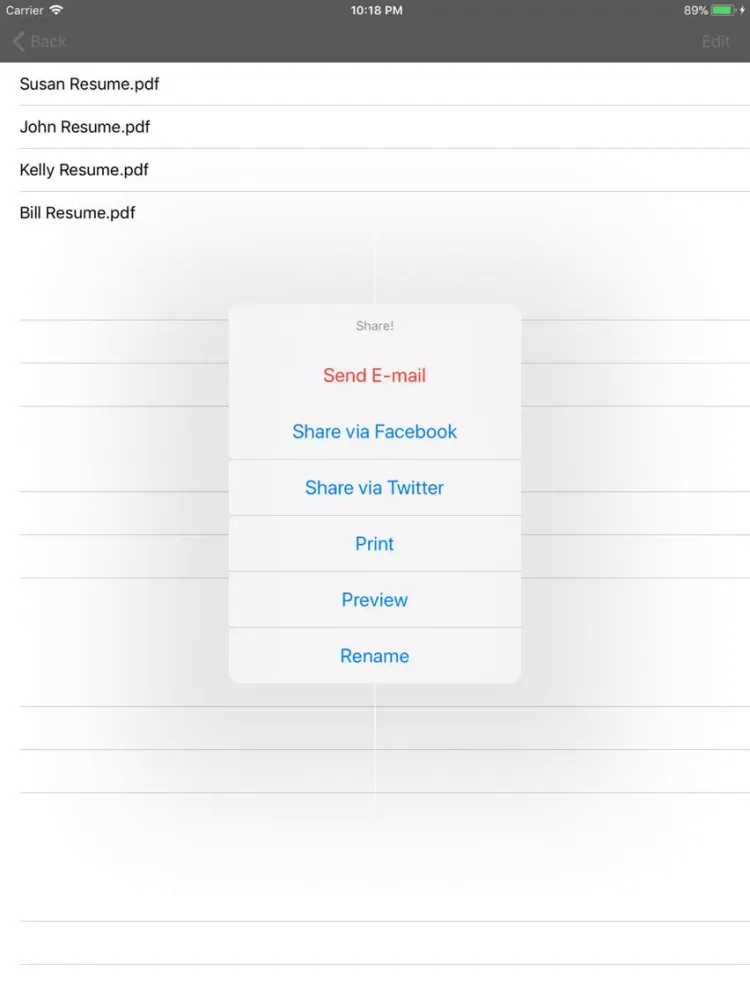 Ảnh chụp màn hình của Resume Studio iPad 