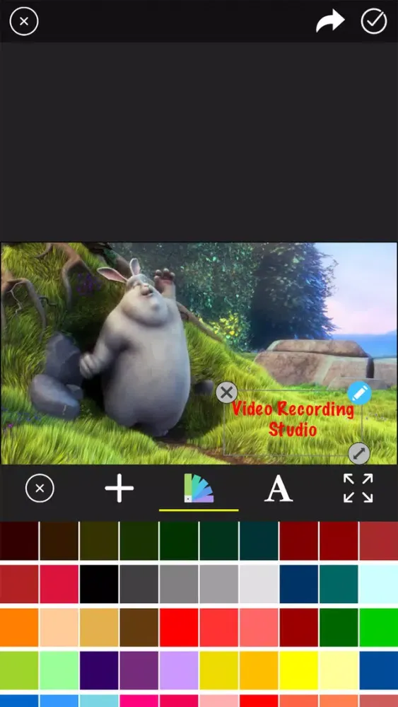 Capturas de pantalla de Video Recording Studio