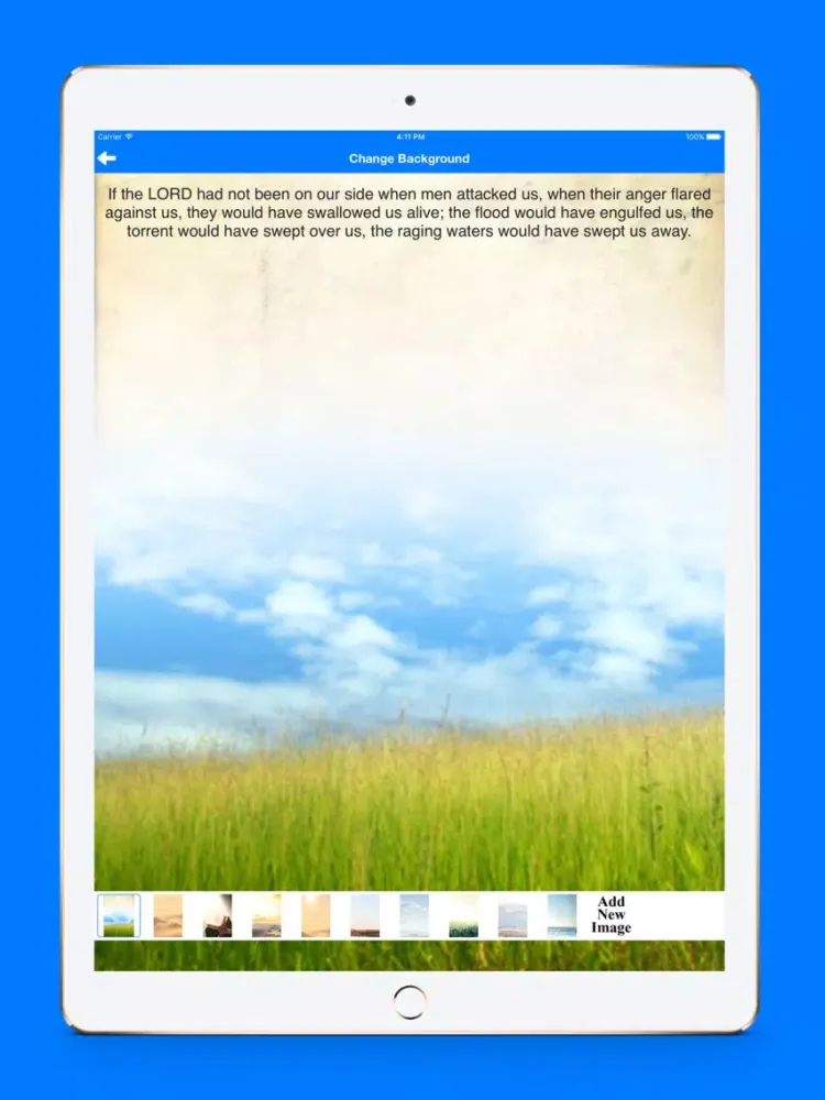 Capturas de tela do Bible Verses - encouraging and Inspirational verses iPad 