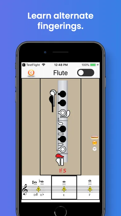 Flute Fingering & Tuning Screenshots