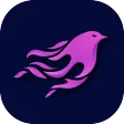 Shen VPN