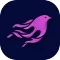 Shen VPN