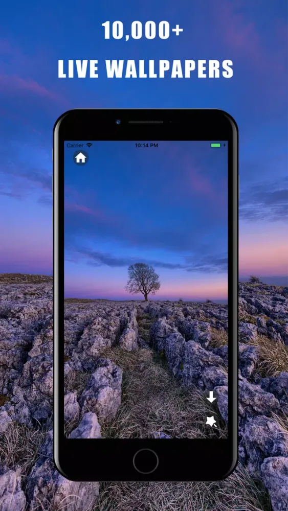 Captures d'écran de LiveWallpaper Hub