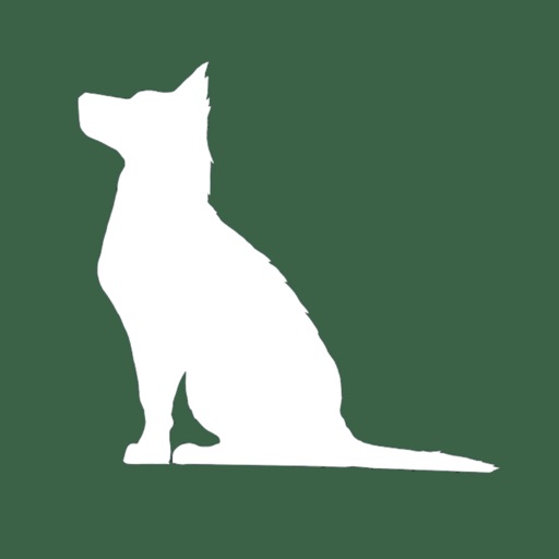 Shepherd Money: AI Assistant